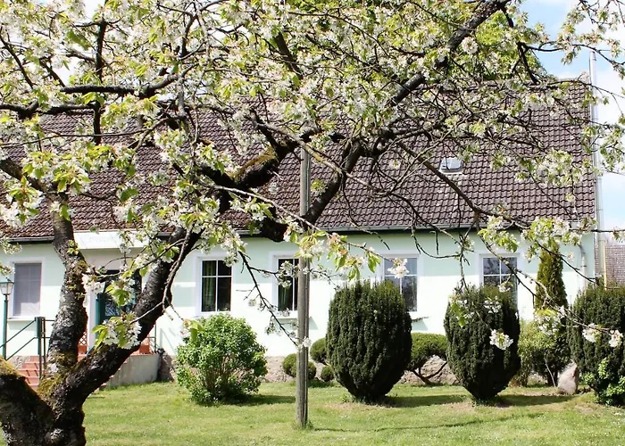 Pension Gestuet Lindenhof
